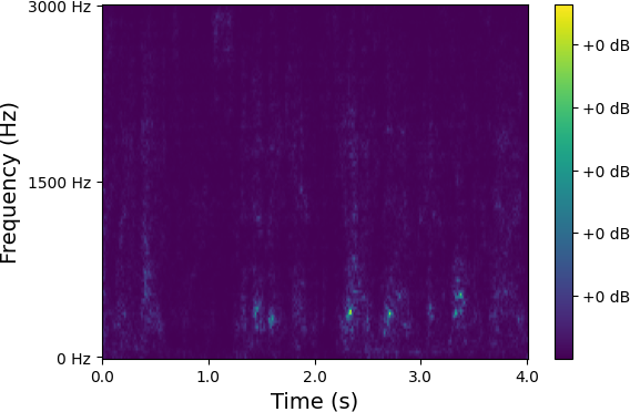 Spectrum 3